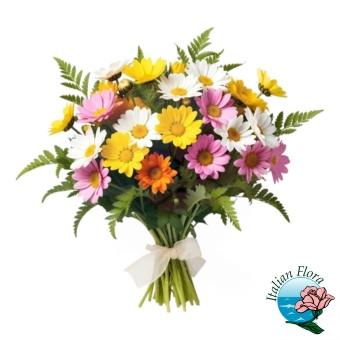 Bouquet di Margherite colorate